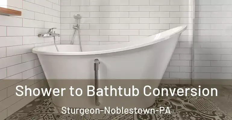 inner Bathroom imggen Shower to Bathtub Conversion Sturgeon-Noblestown-PA