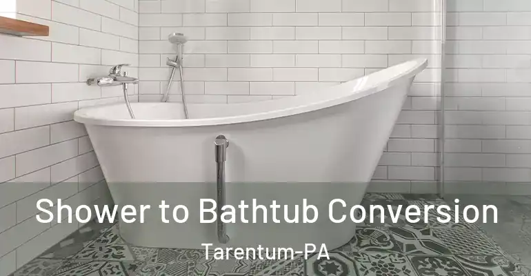 inner Bathroom imggen Shower to Bathtub Conversion Tarentum-PA