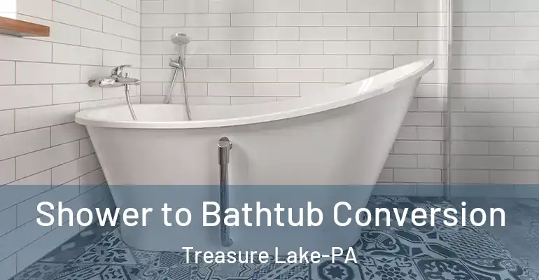 inner Bathroom imggen Shower to Bathtub Conversion Treasure Lake-PA