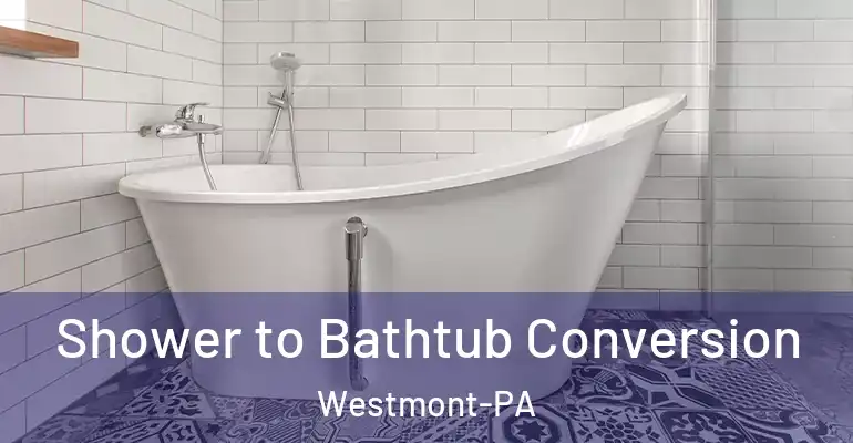 inner Bathroom imggen Shower to Bathtub Conversion Westmont-PA