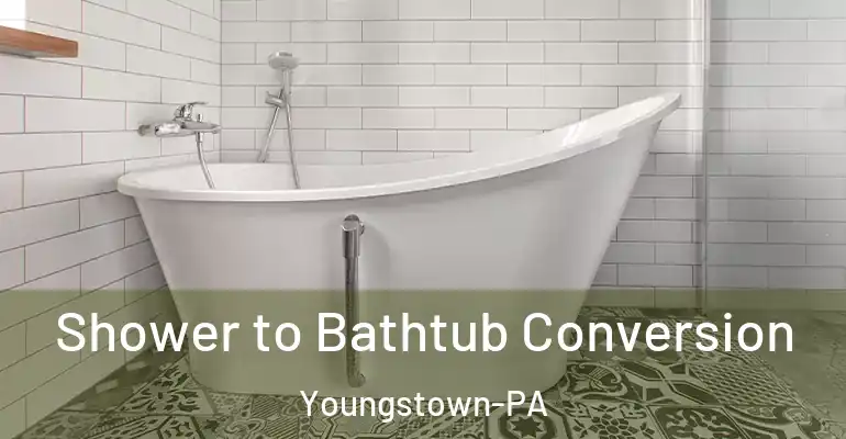 inner Bathroom imggen Shower to Bathtub Conversion Youngstown-PA