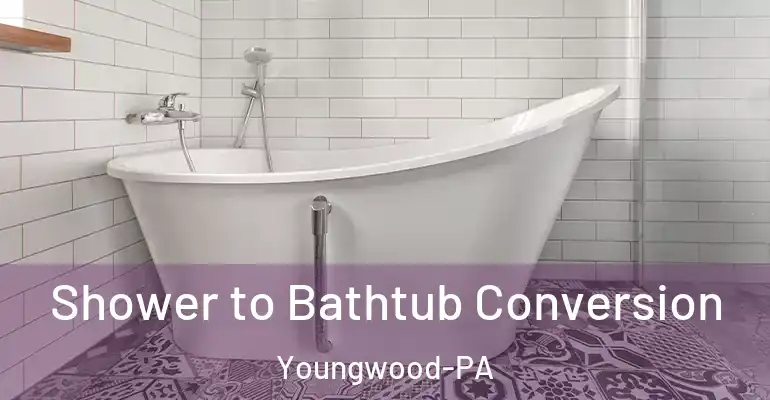 inner Bathroom imggen Shower to Bathtub Conversion Youngwood-PA