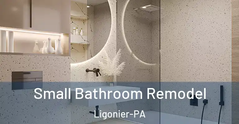 inner Bathroom imggen Small Bathroom Remodel Ligonier-PA