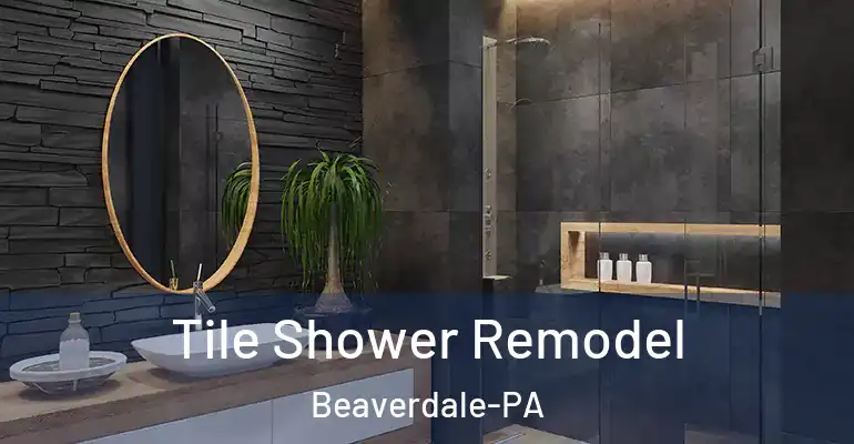 inner Bathroom imggen Tile Shower Remodel Beaverdale-PA