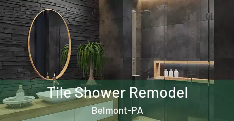 inner Bathroom imggen Tile Shower Remodel Belmont-PA