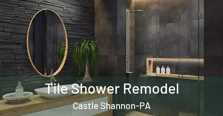 inner Bathroom imggen Tile Shower Remodel Castle Shannon-PA