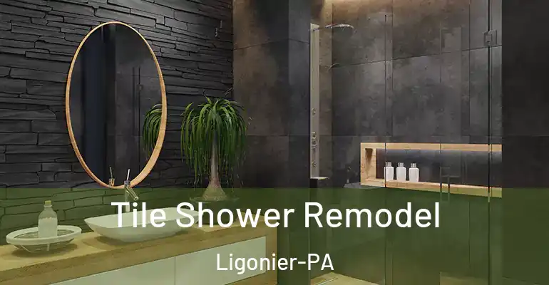 inner Bathroom imggen Tile Shower Remodel Ligonier-PA