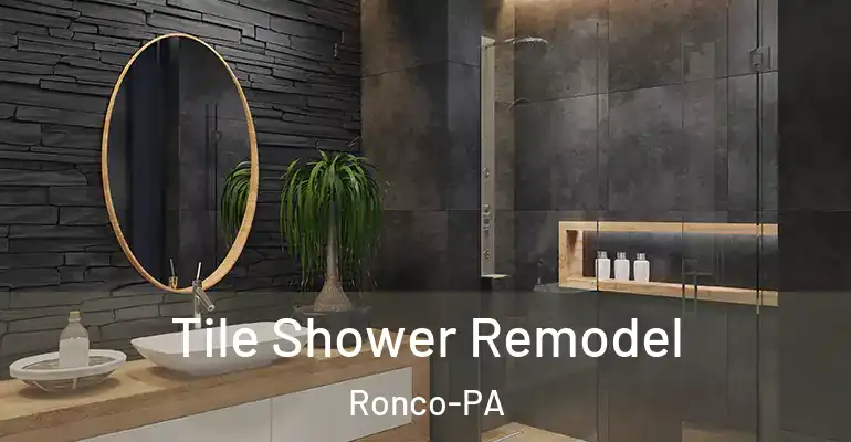 inner Bathroom imggen Tile Shower Remodel Ronco-PA