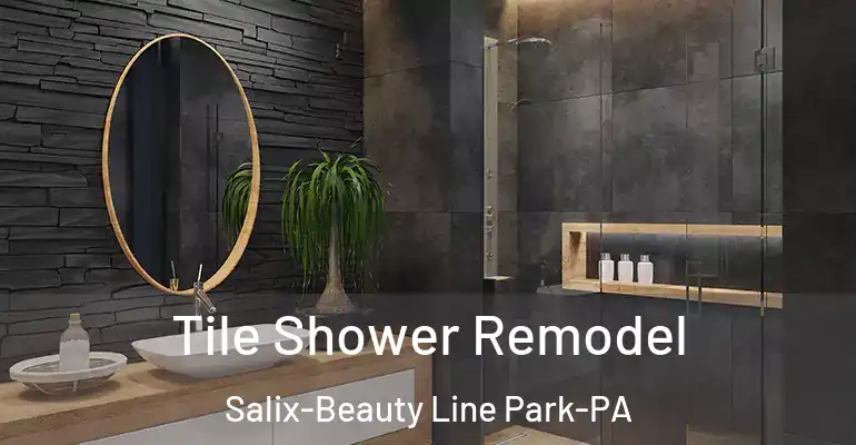 inner Bathroom imggen Tile Shower Remodel Salix-Beauty Line Park-PA