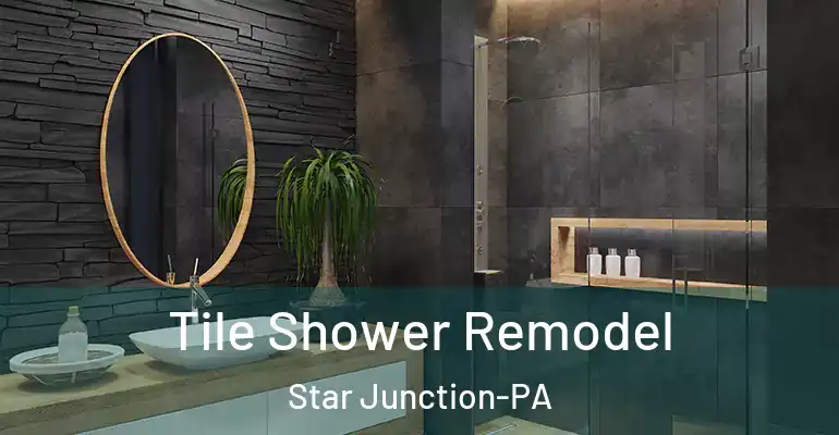 inner Bathroom imggen Tile Shower Remodel Star Junction-PA