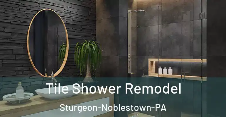 inner Bathroom imggen Tile Shower Remodel Sturgeon-Noblestown-PA