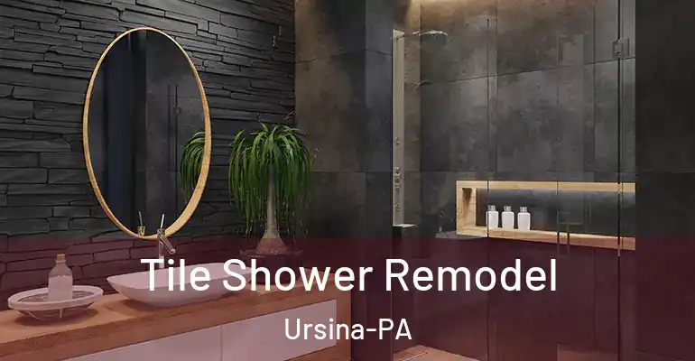 inner Bathroom imggen Tile Shower Remodel Ursina-PA