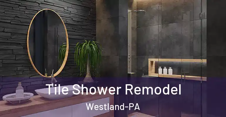 inner Bathroom imggen Tile Shower Remodel Westland-PA