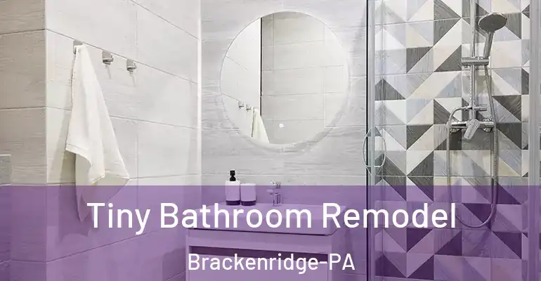 inner Bathroom imggen Tiny Bathroom Remodel Brackenridge-PA