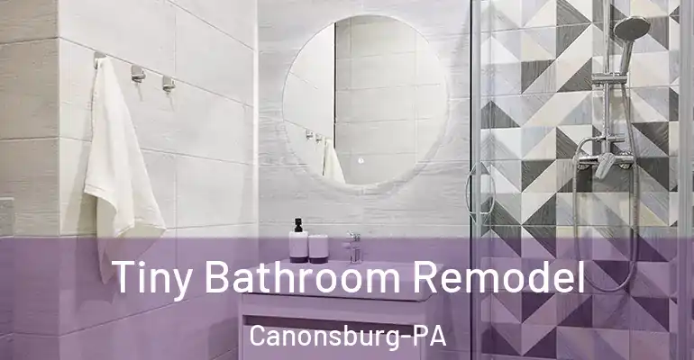inner Bathroom imggen Tiny Bathroom Remodel Canonsburg-PA