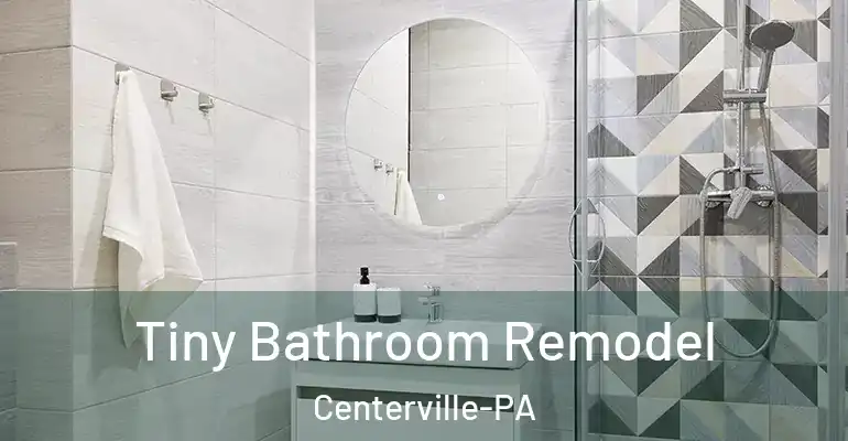 inner Bathroom imggen Tiny Bathroom Remodel Centerville-PA