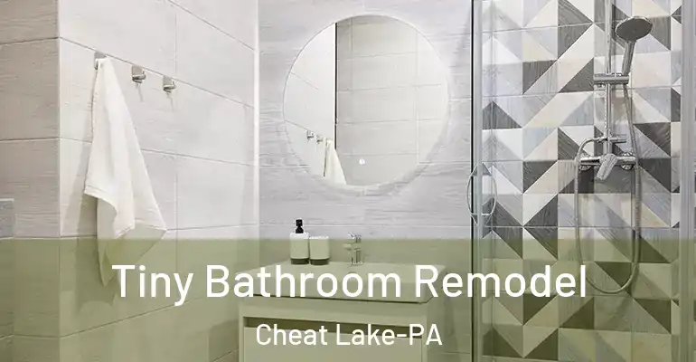 inner Bathroom imggen Tiny Bathroom Remodel Cheat Lake-PA