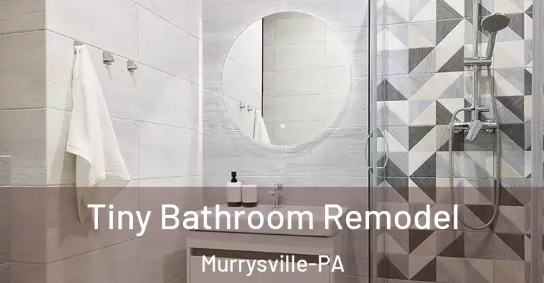 inner Bathroom imggen Tiny Bathroom Remodel Murrysville-PA