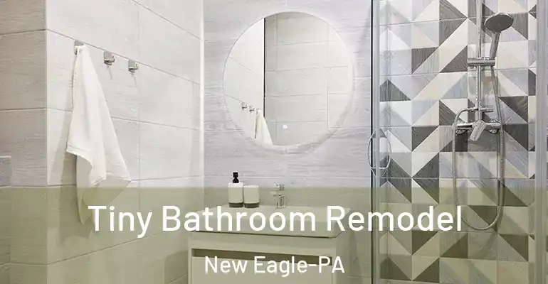 inner Bathroom imggen Tiny Bathroom Remodel New Eagle-PA