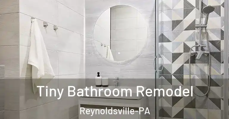 inner Bathroom imggen Tiny Bathroom Remodel Reynoldsville-PA