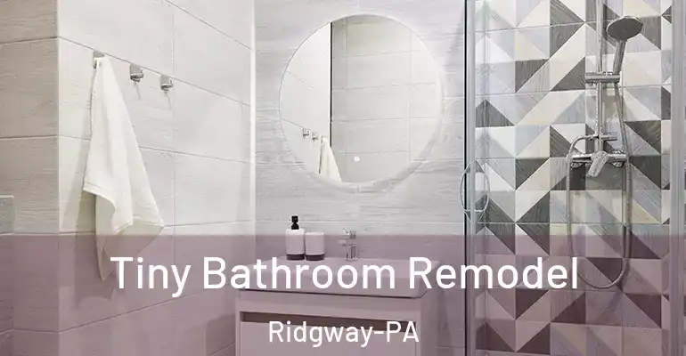 inner Bathroom imggen Tiny Bathroom Remodel Ridgway-PA