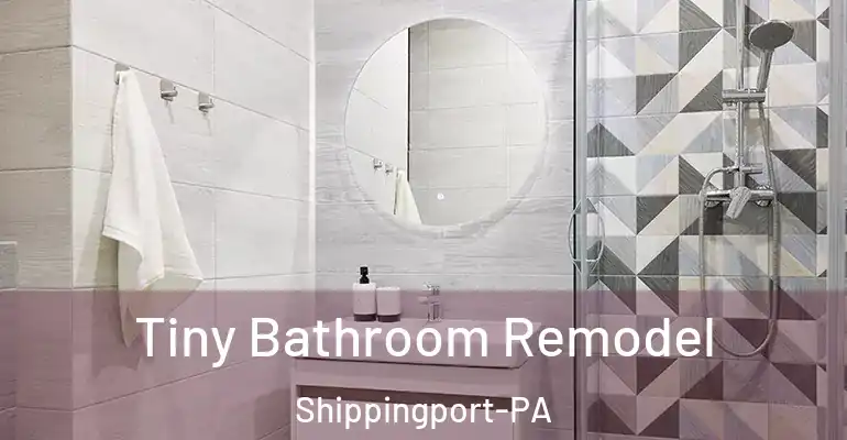 inner Bathroom imggen Tiny Bathroom Remodel Shippingport-PA