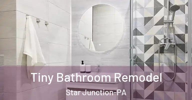 inner Bathroom imggen Tiny Bathroom Remodel Star Junction-PA