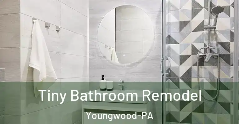 inner Bathroom imggen Tiny Bathroom Remodel Youngwood-PA