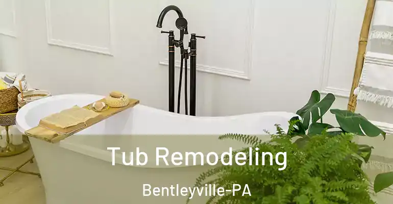 inner Bathroom imggen Tub Remodeling Bentleyville-PA
