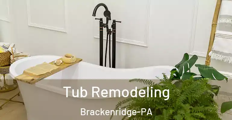 inner Bathroom imggen Tub Remodeling Brackenridge-PA