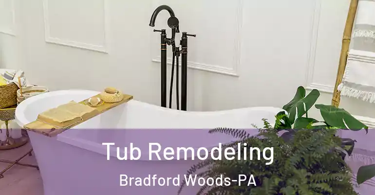 inner Bathroom imggen Tub Remodeling Bradford Woods-PA