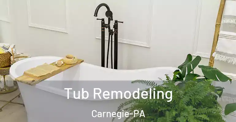inner Bathroom imggen Tub Remodeling Carnegie-PA