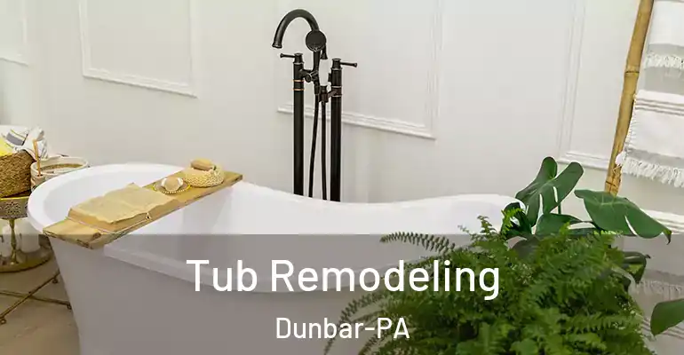 inner Bathroom imggen Tub Remodeling Dunbar-PA