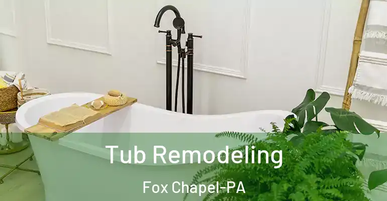 inner Bathroom imggen Tub Remodeling Fox Chapel-PA