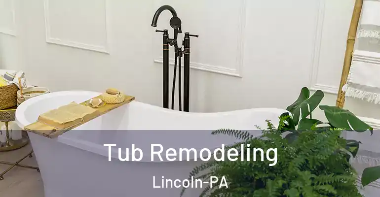 inner Bathroom imggen Tub Remodeling Lincoln-PA