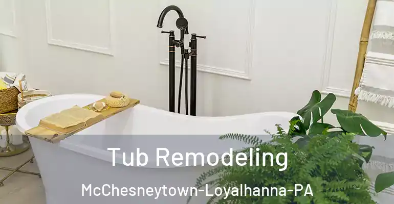 inner Bathroom imggen Tub Remodeling McChesneytown-Loyalhanna-PA