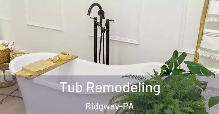 inner Bathroom imggen Tub Remodeling Ridgway-PA