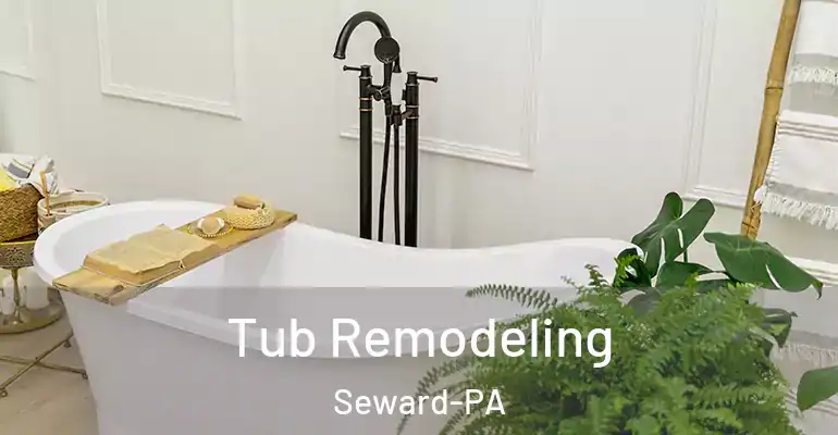 inner Bathroom imggen Tub Remodeling Seward-PA
