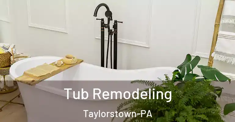inner Bathroom imggen Tub Remodeling Taylorstown-PA