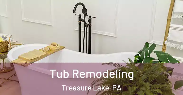 inner Bathroom imggen Tub Remodeling Treasure Lake-PA