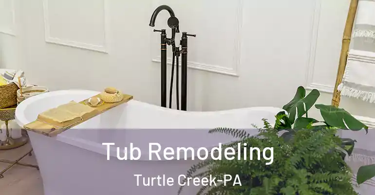 inner Bathroom imggen Tub Remodeling Turtle Creek-PA