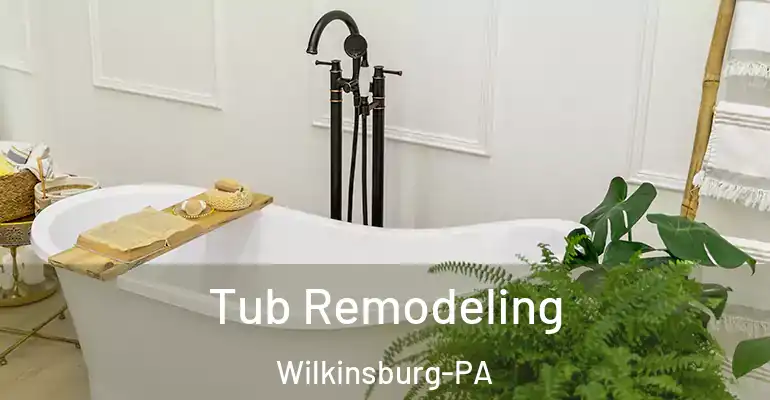 inner Bathroom imggen Tub Remodeling Wilkinsburg-PA