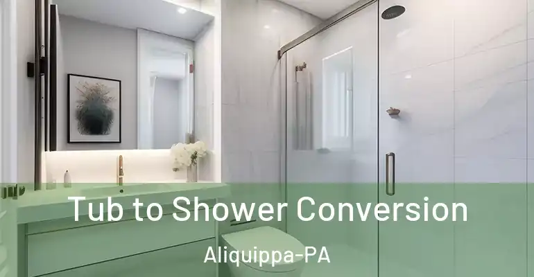 inner Bathroom imggen Tub to Shower Conversion Aliquippa-PA