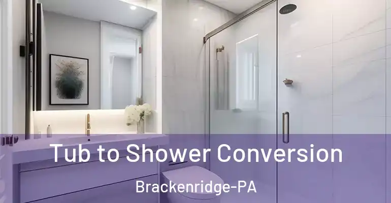 inner Bathroom imggen Tub to Shower Conversion Brackenridge-PA