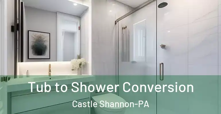 inner Bathroom imggen Tub to Shower Conversion Castle Shannon-PA