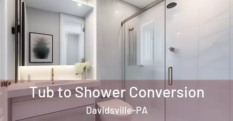 inner Bathroom imggen Tub to Shower Conversion Davidsville-PA