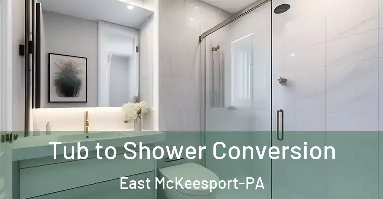 inner Bathroom imggen Tub to Shower Conversion East McKeesport-PA