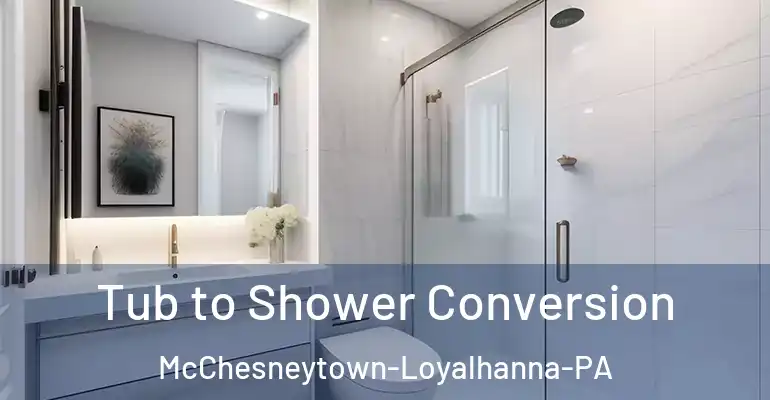 inner Bathroom imggen Tub to Shower Conversion McChesneytown-Loyalhanna-PA