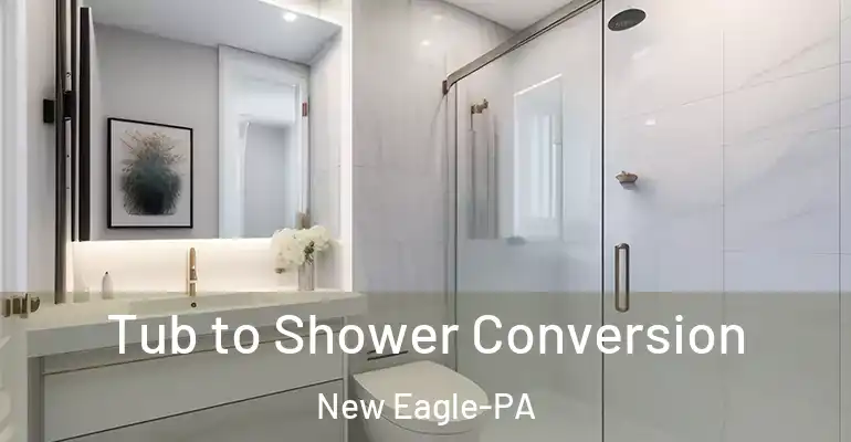 inner Bathroom imggen Tub to Shower Conversion New Eagle-PA