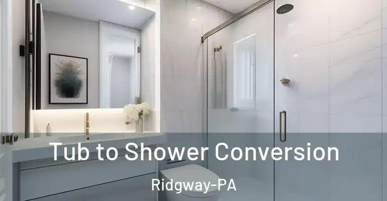inner Bathroom imggen Tub to Shower Conversion Ridgway-PA